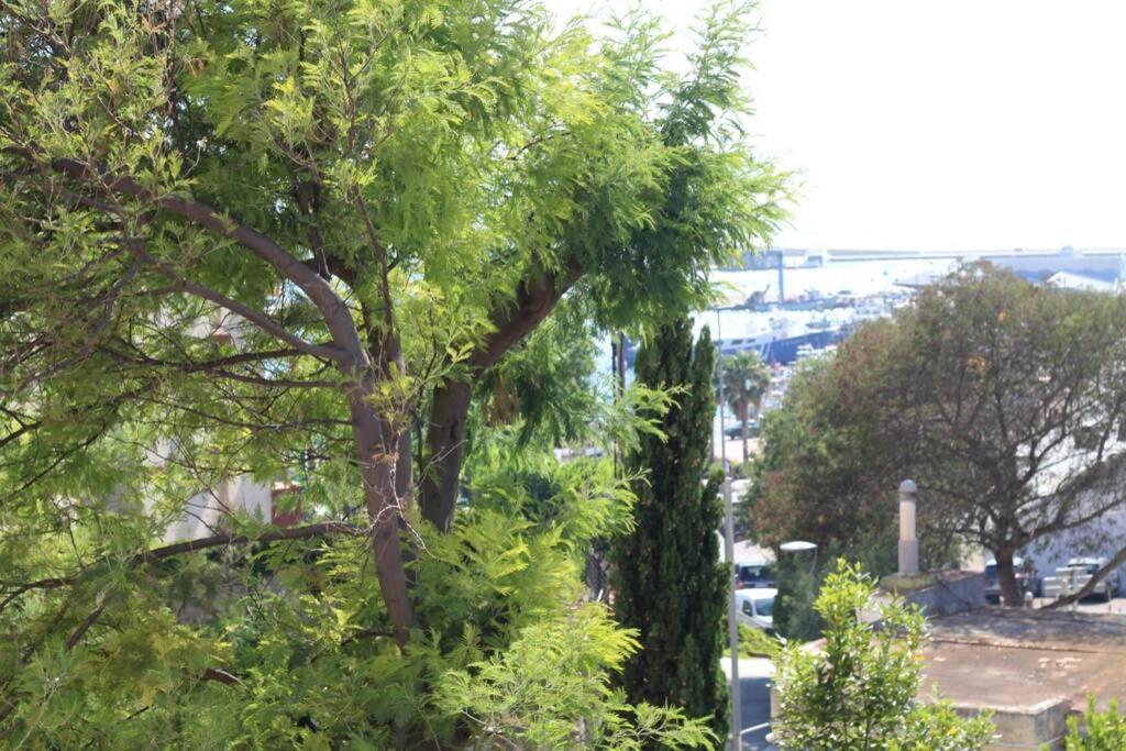 Junto Al Mar En Rosas, Puig Rom Nuevo, Wifi, Tranquilidad Apartment Exterior photo